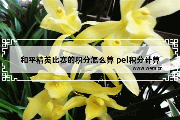 和平精英比赛的积分怎么算 pel积分计算方法