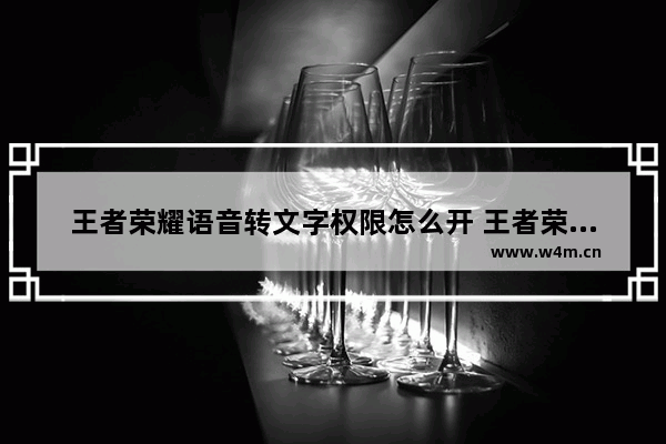 王者荣耀语音转文字权限怎么开 王者荣耀麦克风权限怎么开