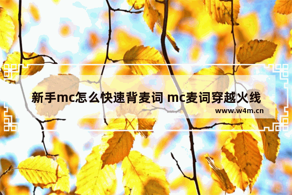 新手mc怎么快速背麦词 mc麦词穿越火线