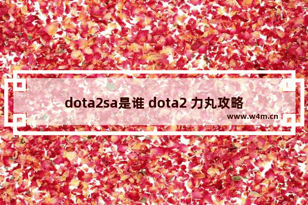 dota2sa是谁 dota2 力丸攻略