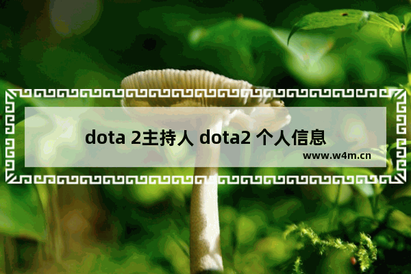 dota 2主持人 dota2 个人信息