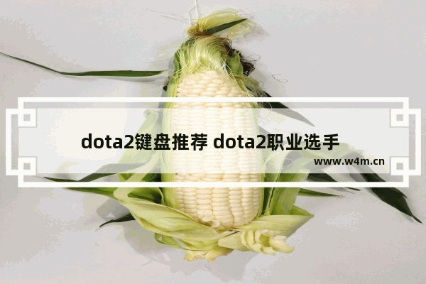 dota2键盘推荐 dota2职业选手 键盘