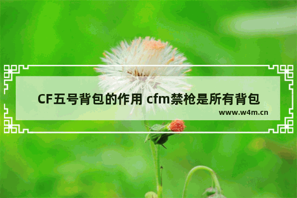 CF五号背包的作用 cfm禁枪是所有背包的吗