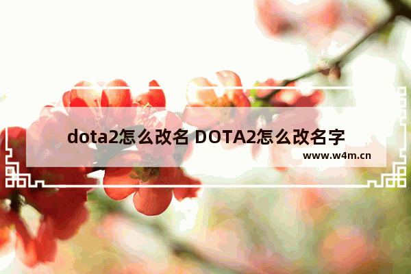 dota2怎么改名 DOTA2怎么改名字dota2国服改昵称方法介绍