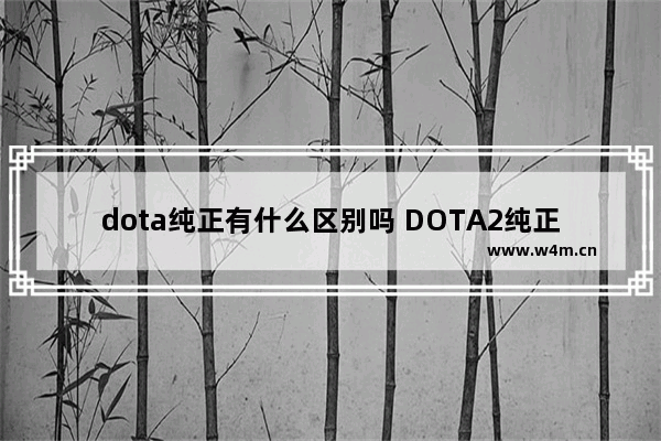 dota纯正有什么区别吗 DOTA2纯正珍藏怎么得到