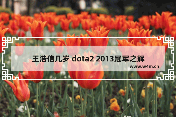 王浩信几岁 dota2 2013冠军之辉