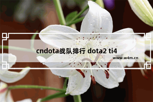 cndota战队排行 dota2 ti4不朽