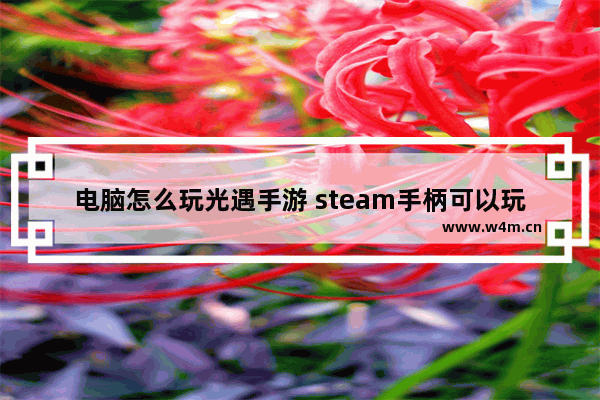 电脑怎么玩光遇手游 steam手柄可以玩光遇吗