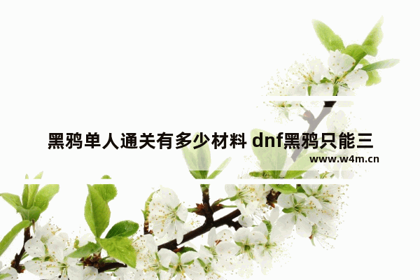 黑鸦单人通关有多少材料 dnf黑鸦只能三个角色打吗