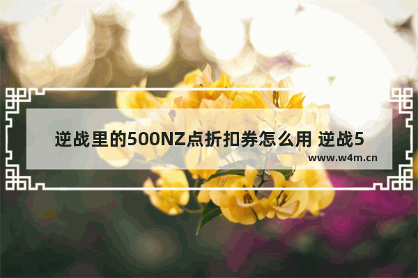 逆战里的500NZ点折扣券怎么用 逆战500折扣卷