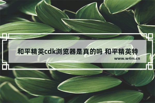 和平精英cdk浏览器是真的吗 和平精英特斯拉兑换码cdk