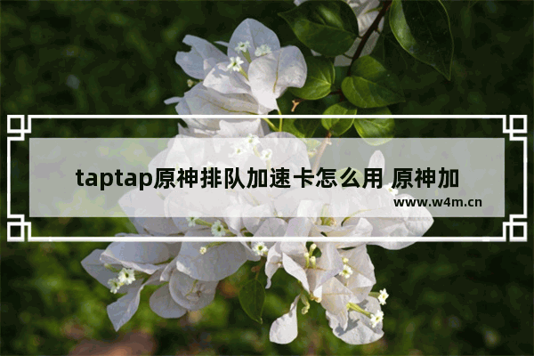 taptap原神排队加速卡怎么用 原神加速带攻略