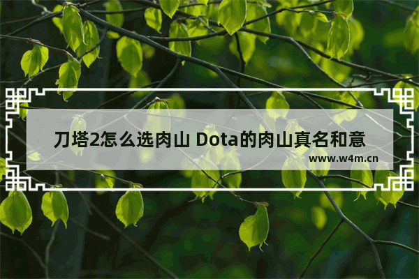 刀塔2怎么选肉山 Dota的肉山真名和意思