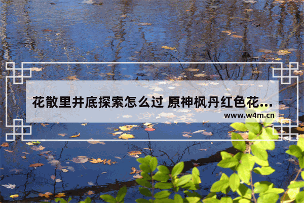 花散里井底探索怎么过 原神枫丹红色花怎么解密