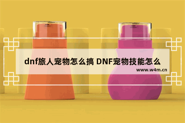 dnf旅人宠物怎么搞 DNF宠物技能怎么用