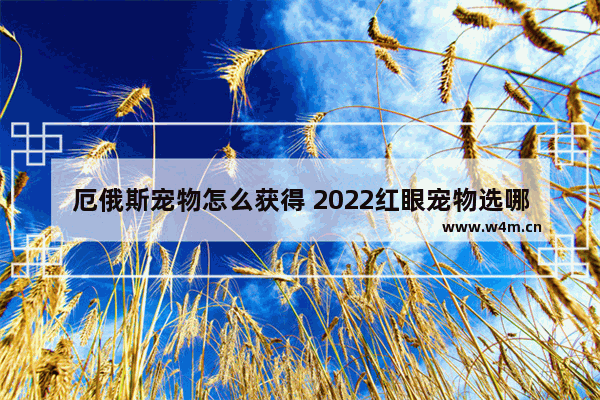 厄俄斯宠物怎么获得 2022红眼宠物选哪个最好