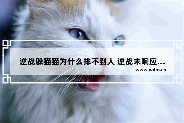 逆战躲猫猫为什么排不到人 逆战未响应怎么回事