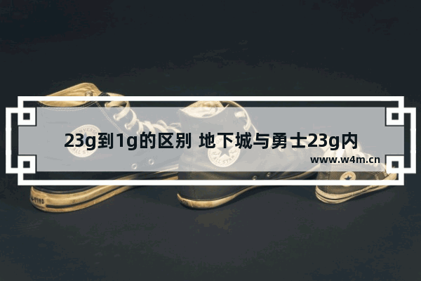 23g到1g的区别 地下城与勇士23g内存