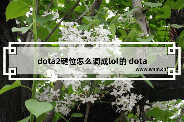 dota2键位怎么调成lol的 dota2选多个英雄联盟