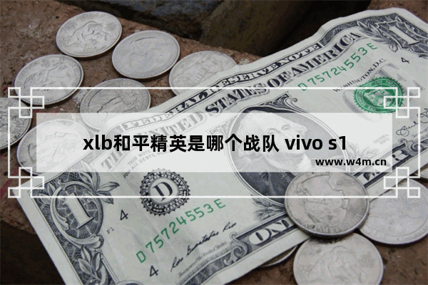 xlb和平精英是哪个战队 vivo s10过时吗