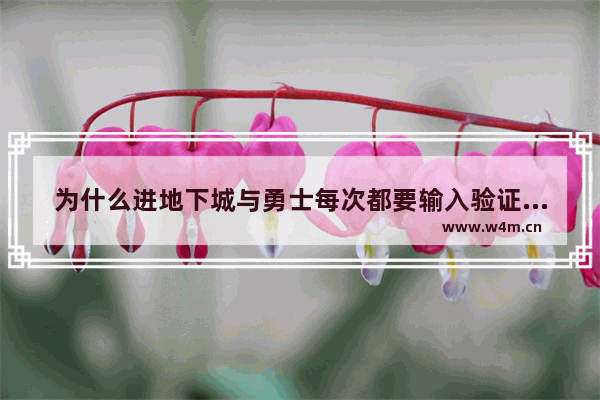 为什么进地下城与勇士每次都要输入验证码 地下城与勇士进游戏说的话