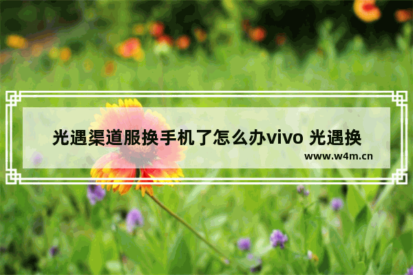 光遇渠道服换手机了怎么办vivo 光遇换个手机