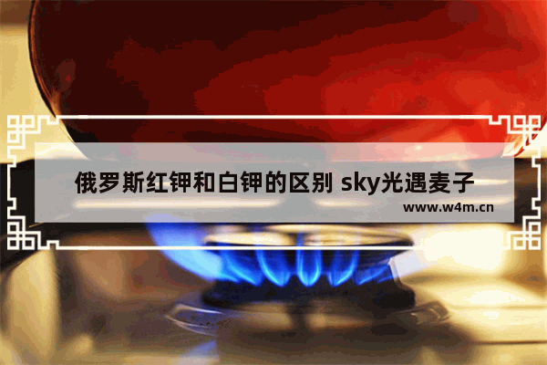 俄罗斯红钾和白钾的区别 sky光遇麦子