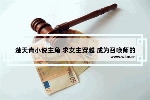 楚天青小说主角 求女主穿越 成为召唤师的文 要完结的