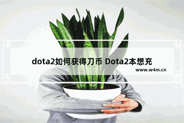 dota2如何获得刀币 Dota2本想充值1000刀币结果冲成1000RMB了怎么办