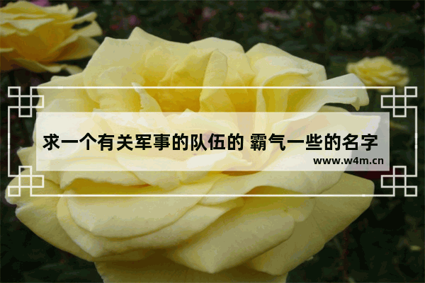 求一个有关军事的队伍的 霸气一些的名字 介绍一下 死神 十三个队长的特殊能力~