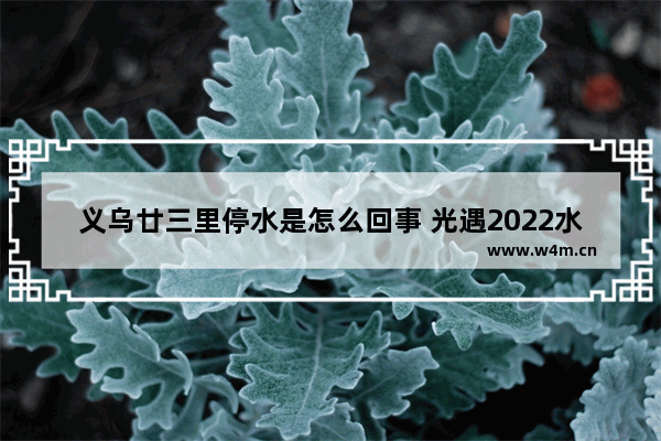 义乌廿三里停水是怎么回事 光遇2022水管