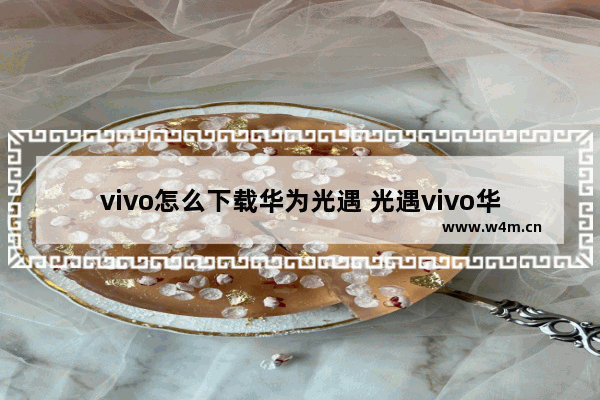 vivo怎么下载华为光遇 光遇vivo华为