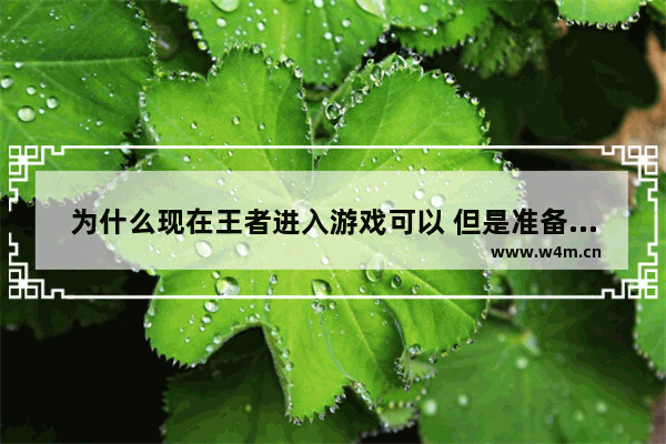 为什么现在王者进入游戏可以 但是准备开始战斗就自动退出的 王者荣耀 脱离战斗