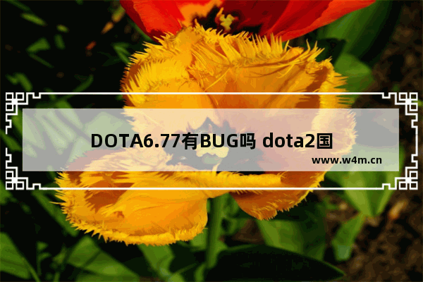 DOTA6.77有BUG吗 dota2国际服无法匹配