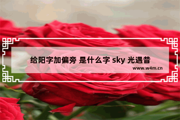 给阳字加偏旁 是什么字 sky 光遇昔