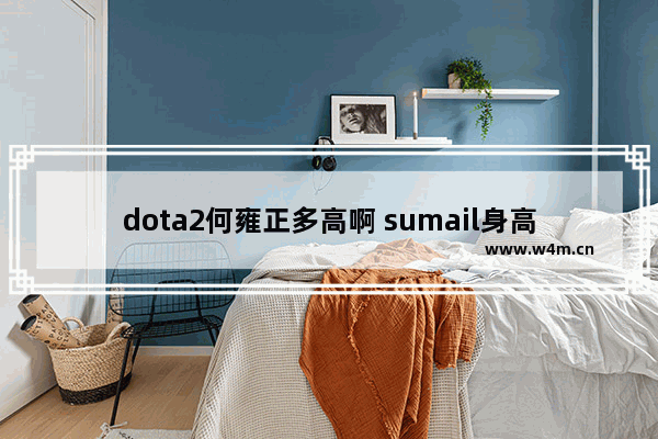 dota2何雍正多高啊 sumail身高