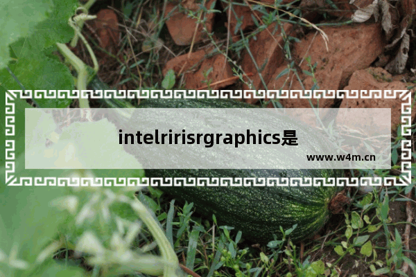 intelririsrgraphics是什么级别 dota2 cis