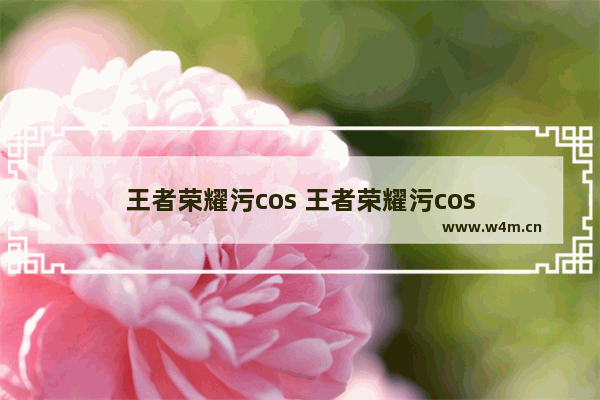 王者荣耀污cos 王者荣耀污cos