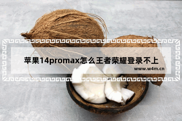 苹果14promax怎么王者荣耀登录不上 王者荣耀打不到人