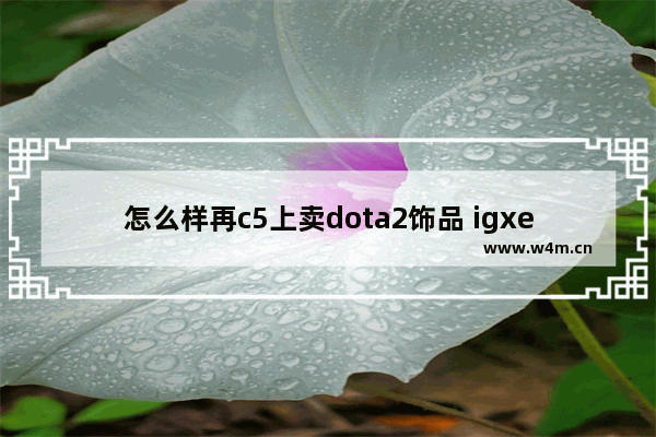 怎么样再c5上卖dota2饰品 igxe dota2