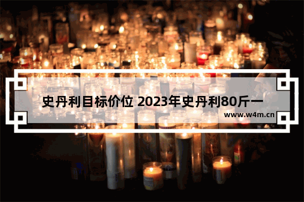 史丹利目标价位 2023年史丹利80斤一袋多少钱