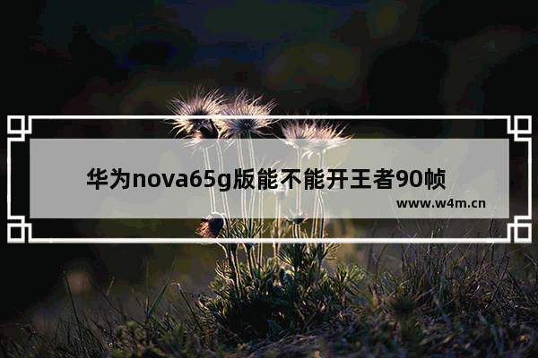 华为nova65g版能不能开王者90帧 华为荣耀6打王者