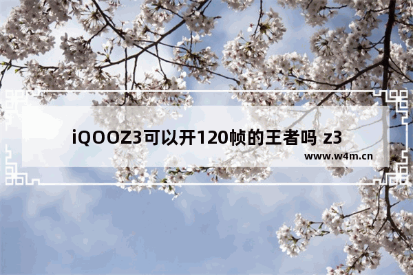 iQOOZ3可以开120帧的王者吗 z3王者荣耀