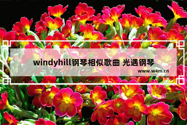 windyhill钢琴相似歌曲 光遇钢琴windy