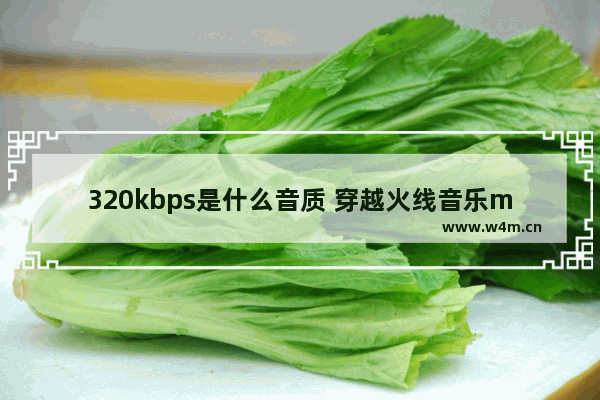 320kbps是什么音质 穿越火线音乐mp3