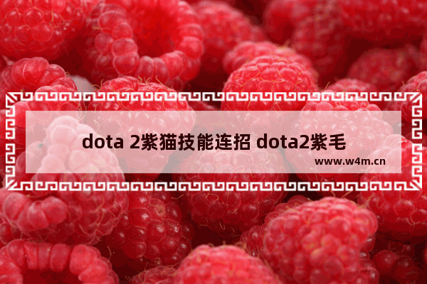 dota 2紫猫技能连招 dota2紫毛厉害吗