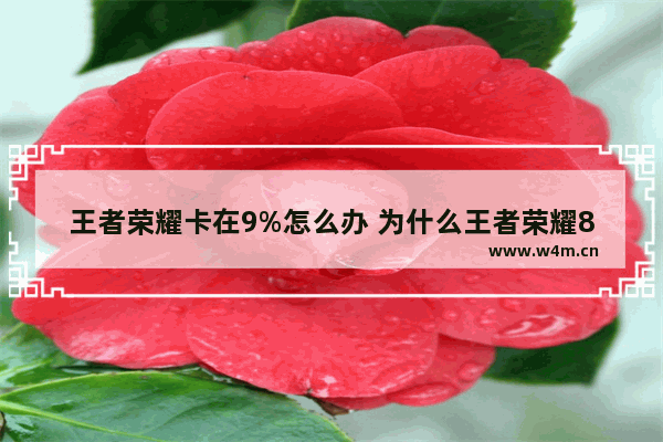 王者荣耀卡在9%怎么办 为什么王者荣耀8点到9点不能进入游戏