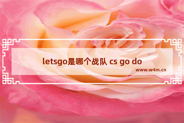 letsgo是哪个战队 cs go dota2