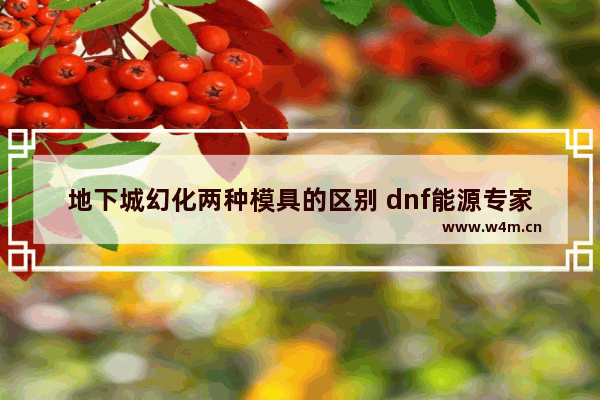 地下城幻化两种模具的区别 dnf能源专家武器幻化哪个好