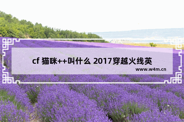 cf 猫咪++叫什么 2017穿越火线英雄武器